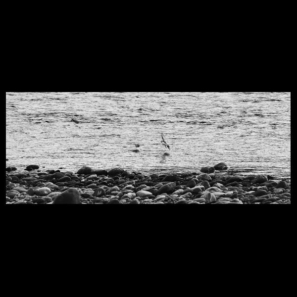 PHOTO84, CLUB, 84 , LUBERON